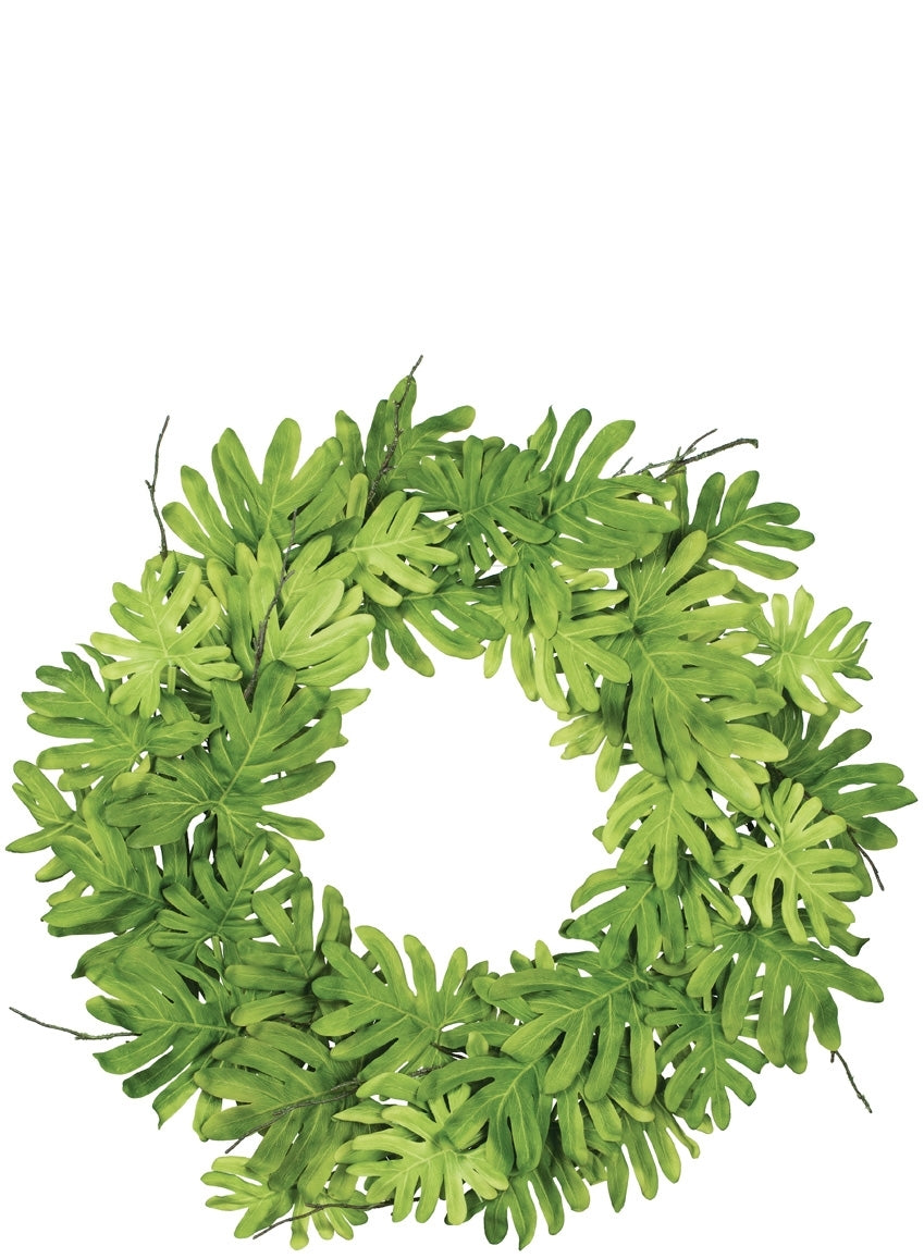Philodendron Wreath