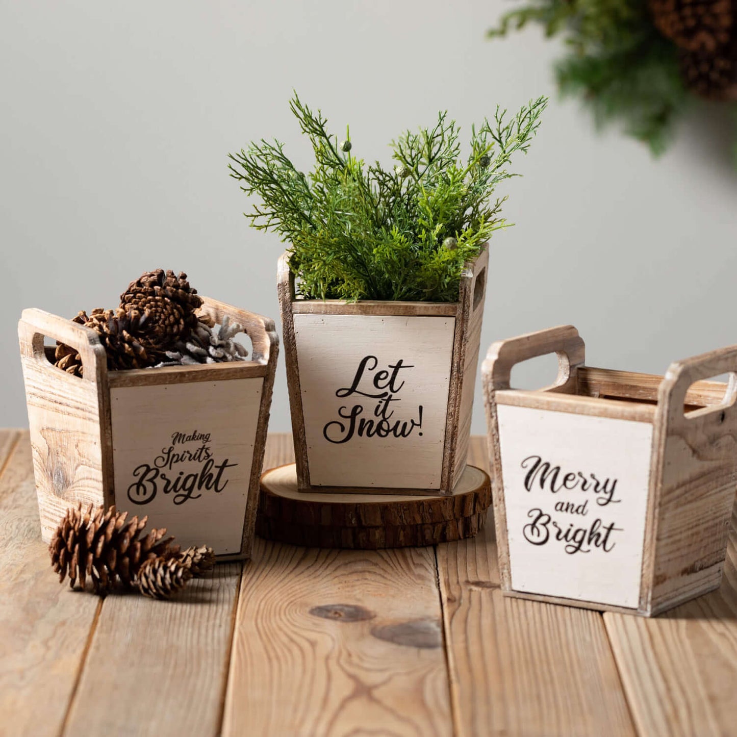 MERRY TEXT PLANTERS