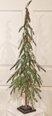 Pine Tree with Square Base