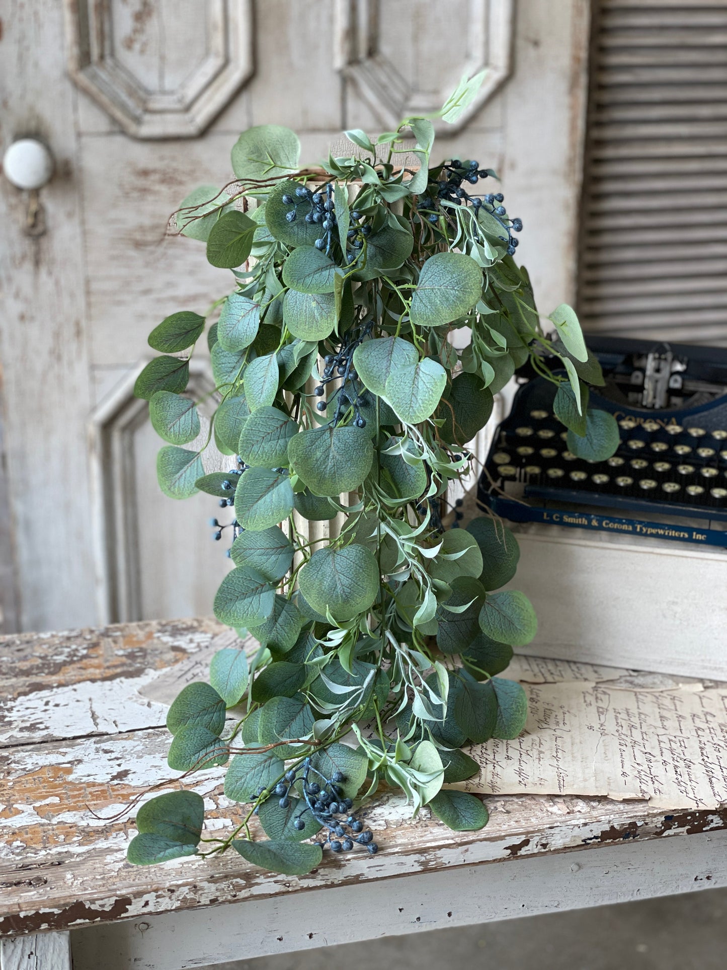 Hanging Speedwell Eucalyptus