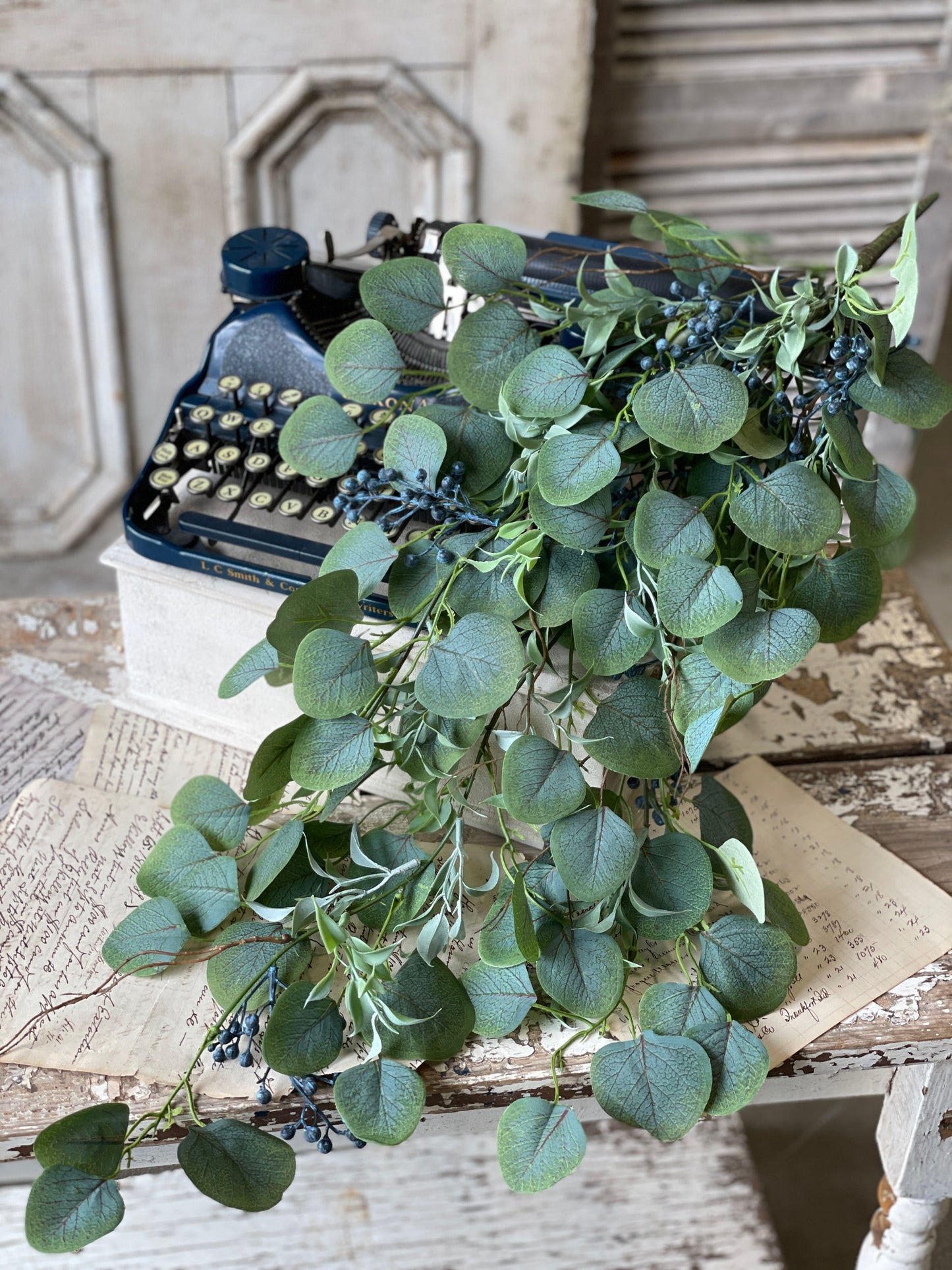 Hanging Speedwell Eucalyptus