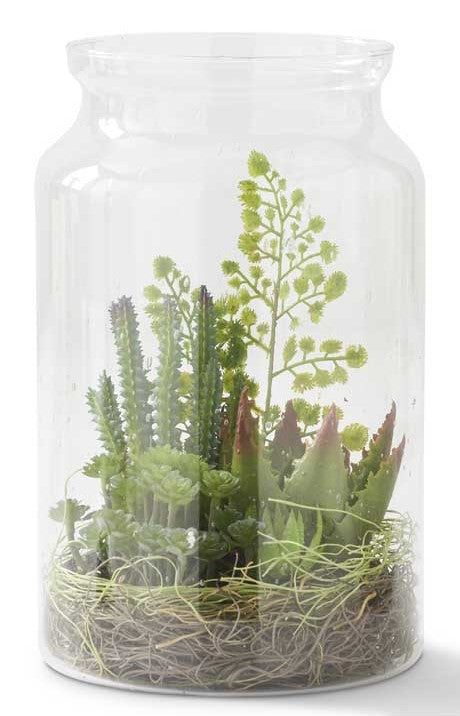 Glass Vase Succulent Terrarium