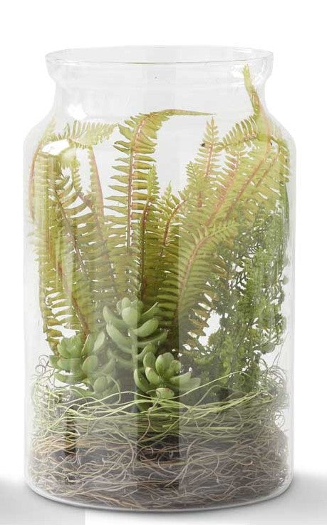 Glass Vase Succulent Terrarium