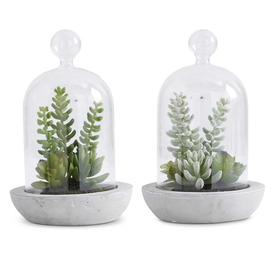 Succulents in Glass Domes with Cement Base