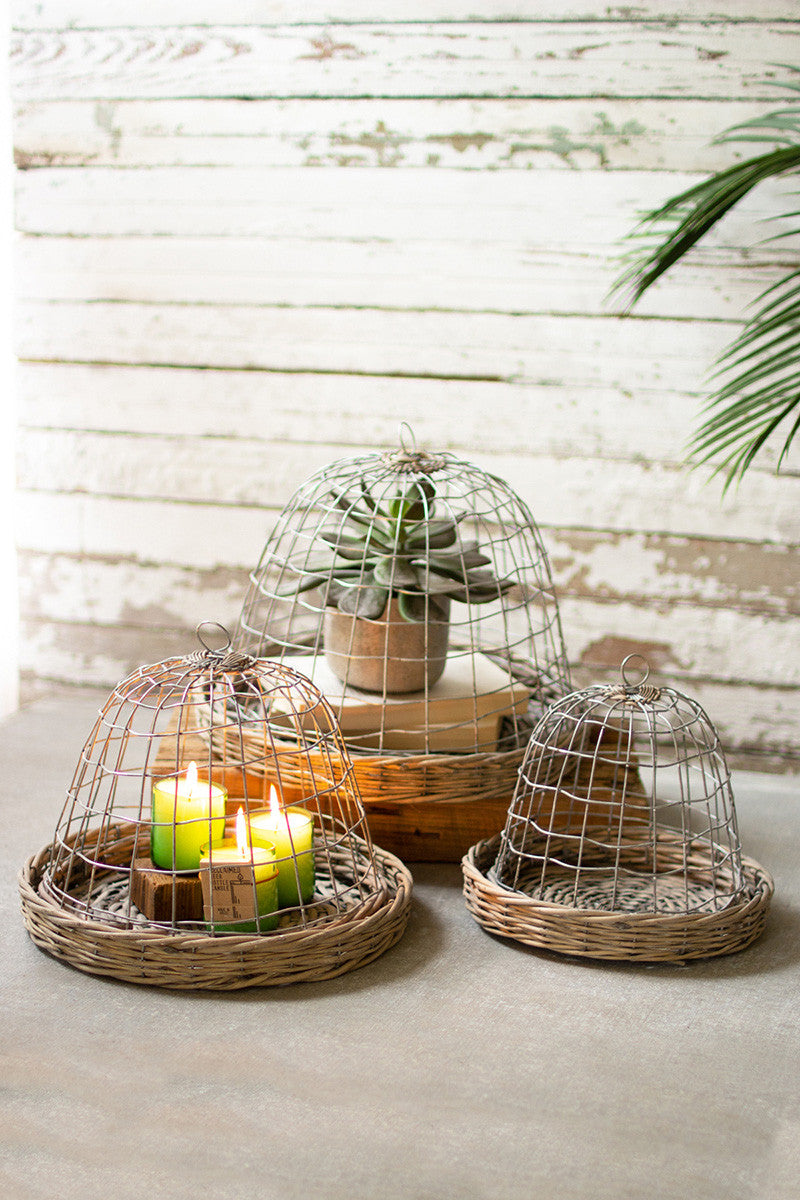 Wire Cloche with Wicker Base